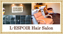 L-ESPOlR Hair Salon